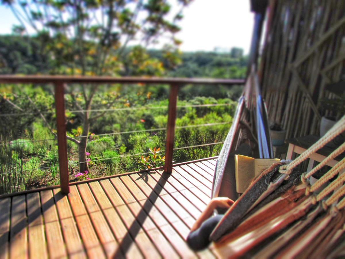 Woodlands Self Catering Hotel Knysna Bagian luar foto