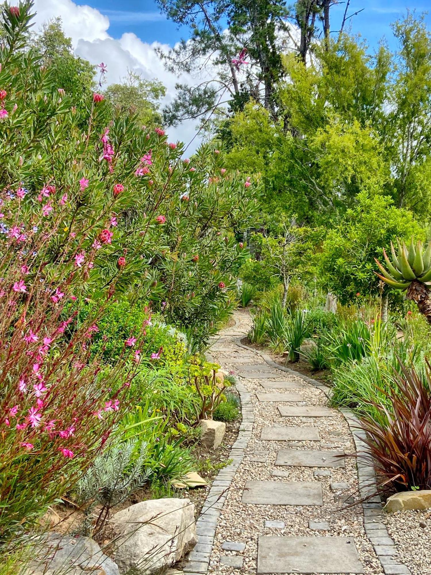 Woodlands Self Catering Hotel Knysna Bagian luar foto