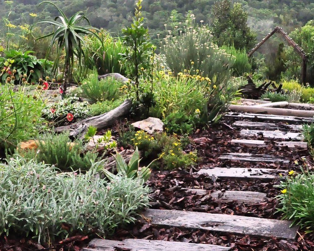Woodlands Self Catering Hotel Knysna Bagian luar foto