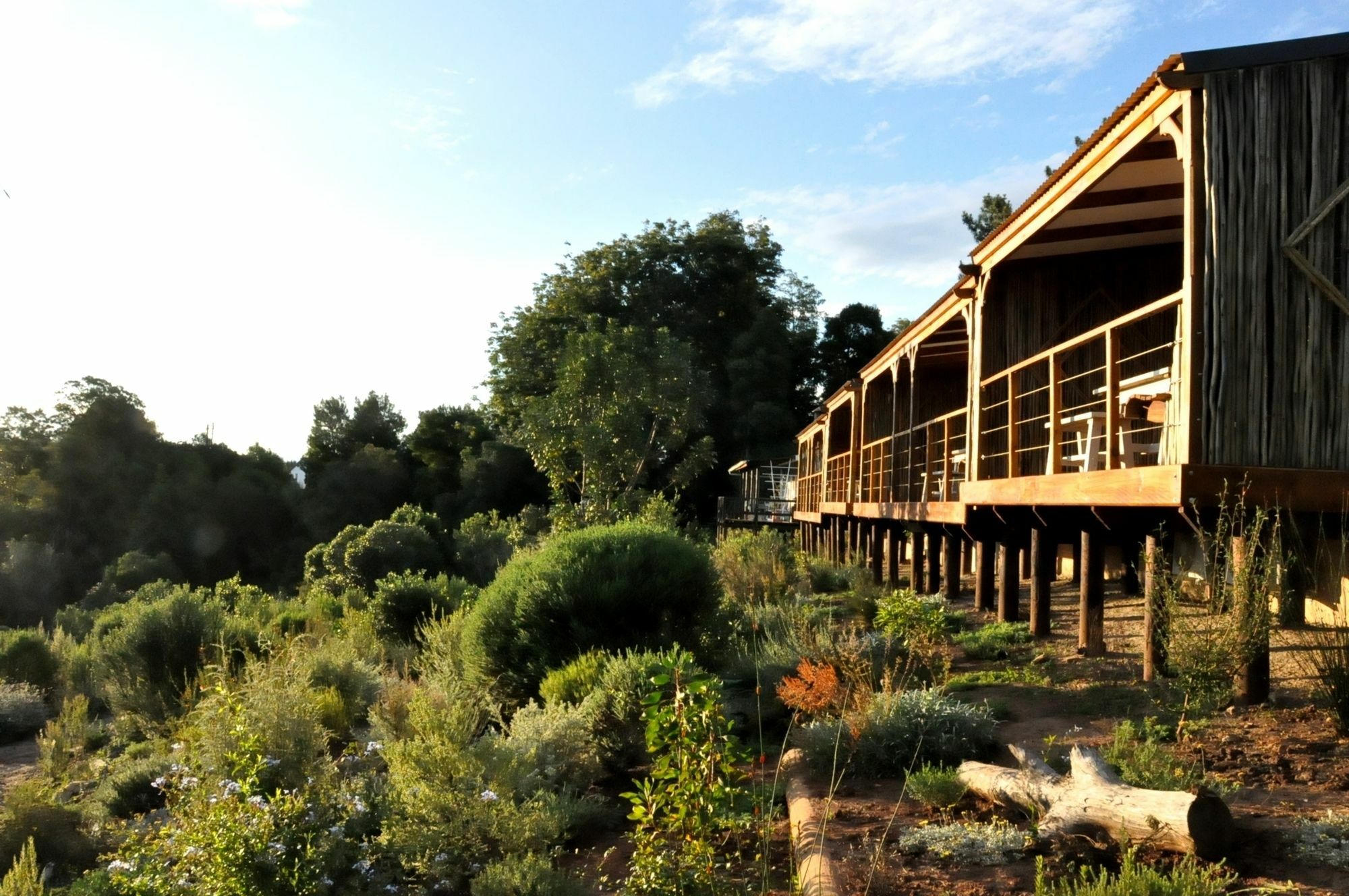 Woodlands Self Catering Hotel Knysna Bagian luar foto