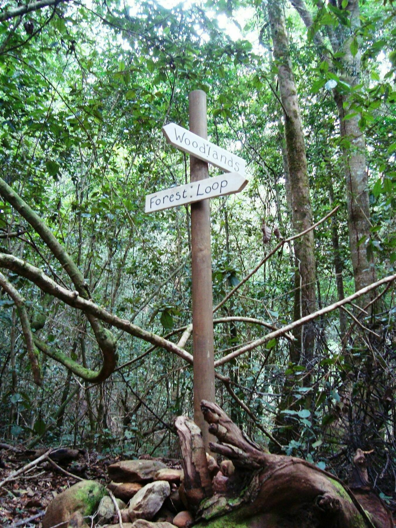 Woodlands Self Catering Hotel Knysna Bagian luar foto