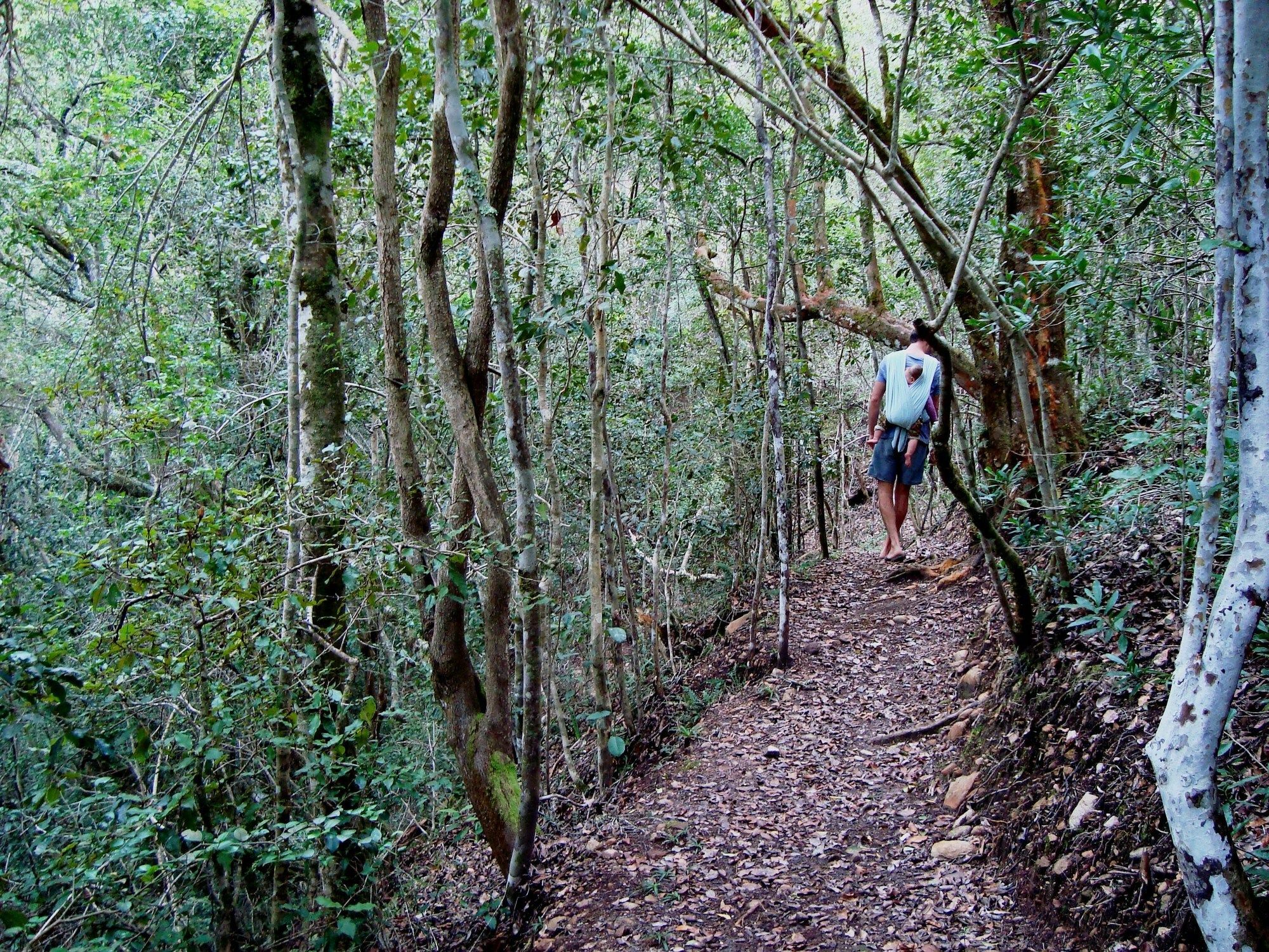 Woodlands Self Catering Hotel Knysna Bagian luar foto